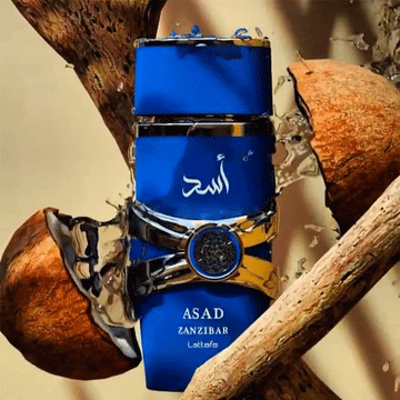 Asad Zanzibar Lattafa 100ML